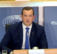 В. Синкявичюс избран вице-председателем Фракции "зеленых" в Европарламенте