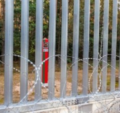 СОГГЛ: на границе Литвы с Беларусью девятый день подряд нелегальных мигрантов не фиксируется