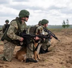 Вице-министр обороны: при создании полигонов пересматриваются их границы