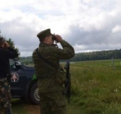 СОГГЛ: на границе Литвы с Беларусью нелегальных мигрантов не фиксировалось