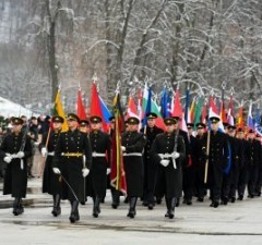 В Литве отмечают День армии