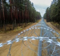 СОГГЛ: на границе Литвы с Беларусью задержаны 12 нелегальных мигрантов