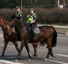 Вильнюс отказывается от конной полиции