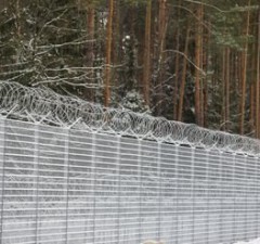 СОГГЛ: на границе Литвы с Беларусью развернули семь нелегальных мигрантов