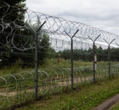 СОГГЛ: пограничники развернули двух нелегальных мигрантов на границе Литвы с Беларусью