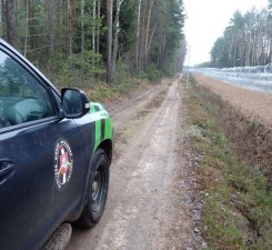 СОГГЛ: на границе Литвы с Беларусью пограничники развернули двух нелегальных мигрантов