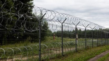 СОГГЛ: пограничники развернули двух нелегальных мигрантов на границе Литвы с Беларусью