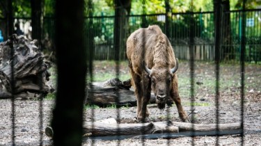 В Литве нельзя будет демонстрировать диких животных в коммерческих целях