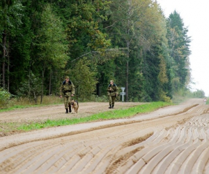 На границе с Беларусью развернули 20 мигрантов, ни один не был пропущен в Литву