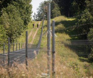 СОГГЛ: ЗА СУТКИ ПОГРАНИЧНИКИ НЕ ПРОПУСТИЛИ ИЗ БЕЛАРУСИ 114 МИГРАНТОВ